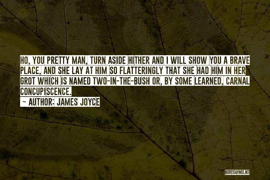 James Joyce Quotes: Ho, You Pretty Man, Turn Aside Hither And I Will Show You A Brave Place, And She Lay At Him