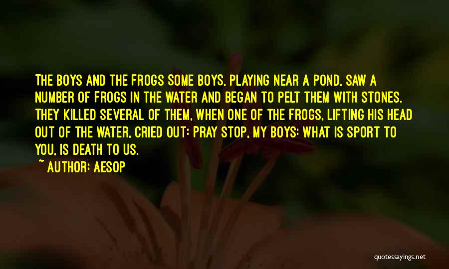 Aesop Quotes: The Boys And The Frogs Some Boys, Playing Near A Pond, Saw A Number Of Frogs In The Water And