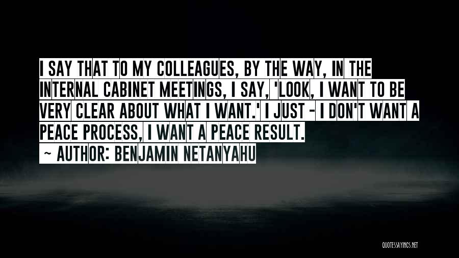 Benjamin Netanyahu Quotes: I Say That To My Colleagues, By The Way, In The Internal Cabinet Meetings, I Say, 'look, I Want To