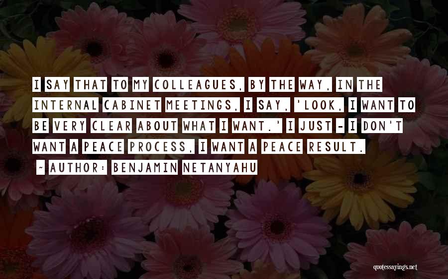 Benjamin Netanyahu Quotes: I Say That To My Colleagues, By The Way, In The Internal Cabinet Meetings, I Say, 'look, I Want To