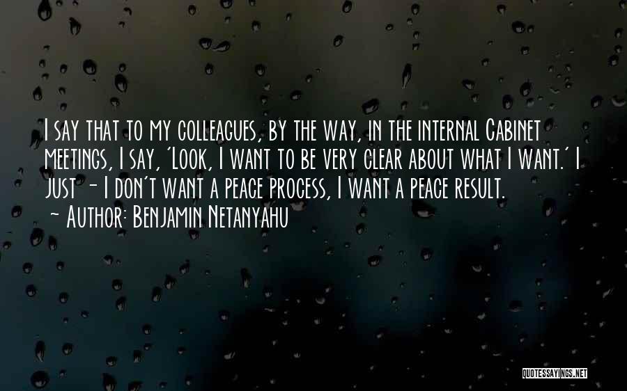 Benjamin Netanyahu Quotes: I Say That To My Colleagues, By The Way, In The Internal Cabinet Meetings, I Say, 'look, I Want To