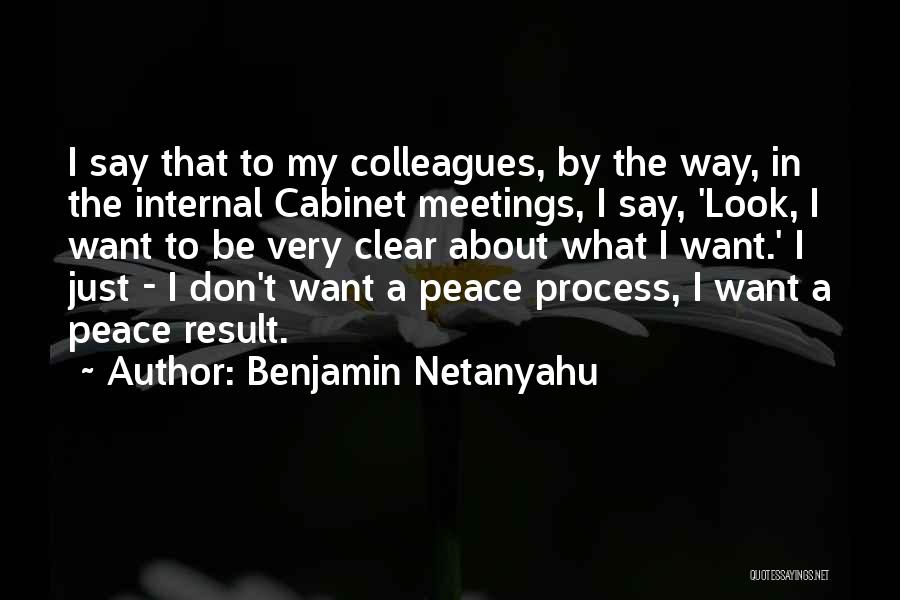Benjamin Netanyahu Quotes: I Say That To My Colleagues, By The Way, In The Internal Cabinet Meetings, I Say, 'look, I Want To