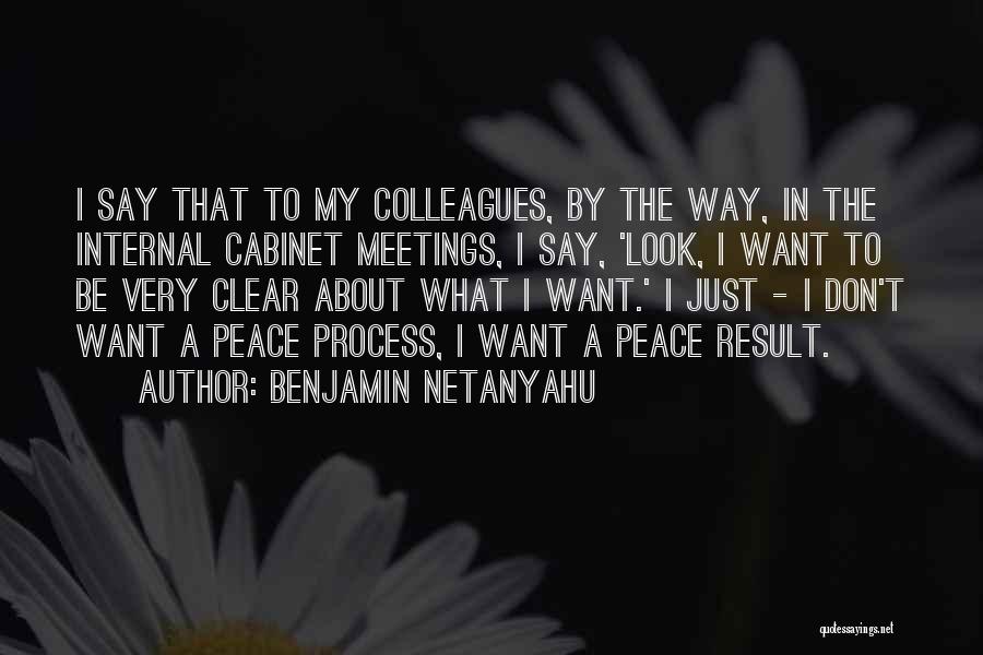 Benjamin Netanyahu Quotes: I Say That To My Colleagues, By The Way, In The Internal Cabinet Meetings, I Say, 'look, I Want To