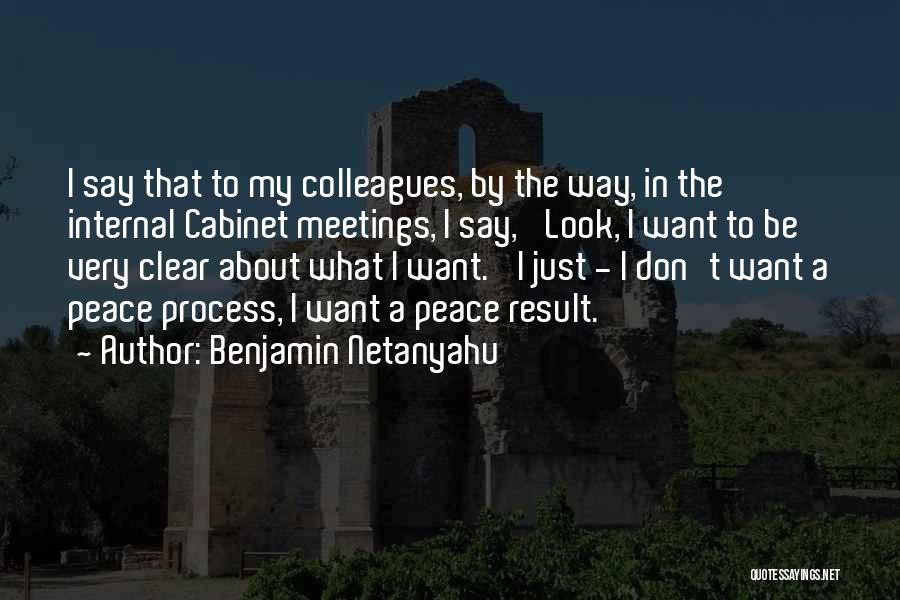 Benjamin Netanyahu Quotes: I Say That To My Colleagues, By The Way, In The Internal Cabinet Meetings, I Say, 'look, I Want To