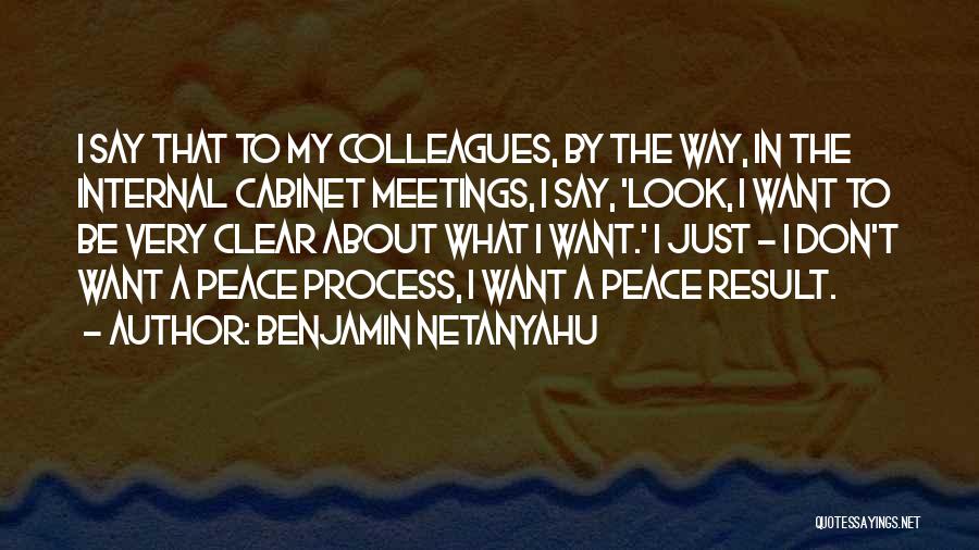 Benjamin Netanyahu Quotes: I Say That To My Colleagues, By The Way, In The Internal Cabinet Meetings, I Say, 'look, I Want To