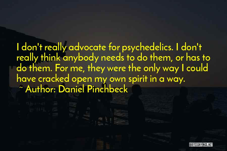 Daniel Pinchbeck Quotes: I Don't Really Advocate For Psychedelics. I Don't Really Think Anybody Needs To Do Them, Or Has To Do Them.