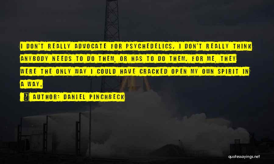 Daniel Pinchbeck Quotes: I Don't Really Advocate For Psychedelics. I Don't Really Think Anybody Needs To Do Them, Or Has To Do Them.