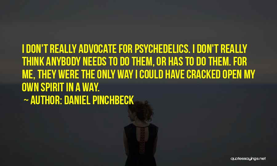 Daniel Pinchbeck Quotes: I Don't Really Advocate For Psychedelics. I Don't Really Think Anybody Needs To Do Them, Or Has To Do Them.