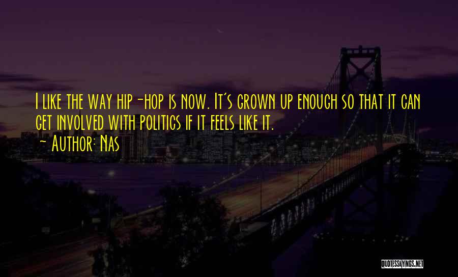 Nas Quotes: I Like The Way Hip-hop Is Now. It's Grown Up Enough So That It Can Get Involved With Politics If