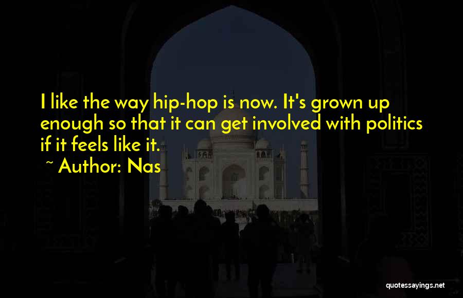 Nas Quotes: I Like The Way Hip-hop Is Now. It's Grown Up Enough So That It Can Get Involved With Politics If