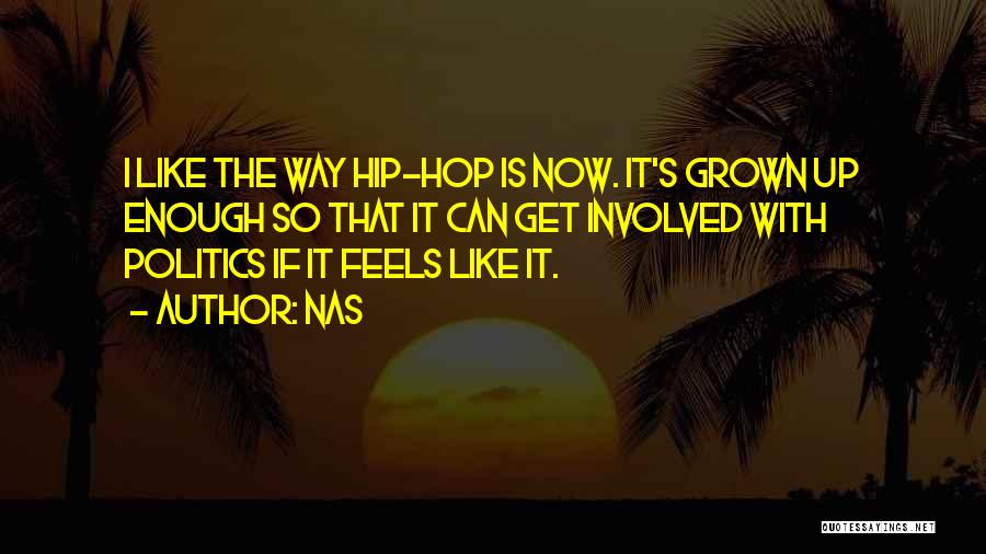 Nas Quotes: I Like The Way Hip-hop Is Now. It's Grown Up Enough So That It Can Get Involved With Politics If