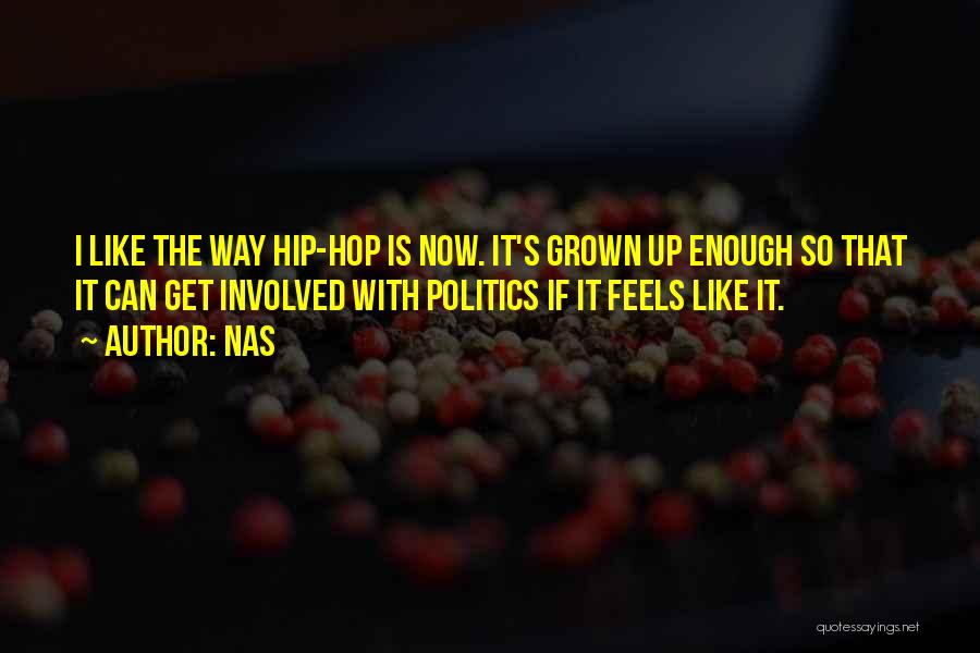 Nas Quotes: I Like The Way Hip-hop Is Now. It's Grown Up Enough So That It Can Get Involved With Politics If