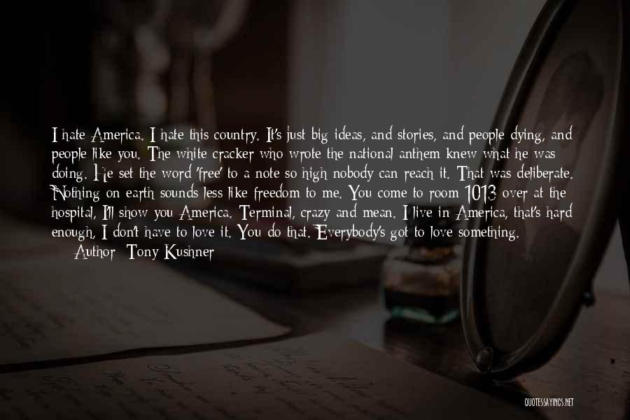 Tony Kushner Quotes: I Hate America. I Hate This Country. It's Just Big Ideas, And Stories, And People Dying, And People Like You.