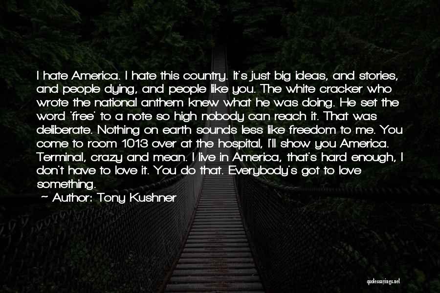 Tony Kushner Quotes: I Hate America. I Hate This Country. It's Just Big Ideas, And Stories, And People Dying, And People Like You.