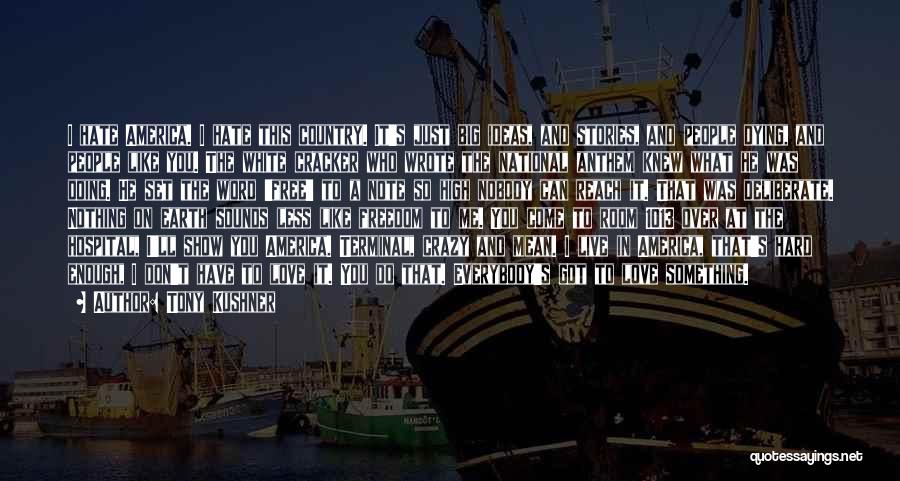 Tony Kushner Quotes: I Hate America. I Hate This Country. It's Just Big Ideas, And Stories, And People Dying, And People Like You.