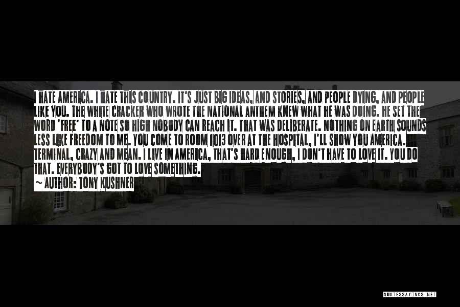 Tony Kushner Quotes: I Hate America. I Hate This Country. It's Just Big Ideas, And Stories, And People Dying, And People Like You.