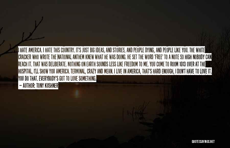 Tony Kushner Quotes: I Hate America. I Hate This Country. It's Just Big Ideas, And Stories, And People Dying, And People Like You.