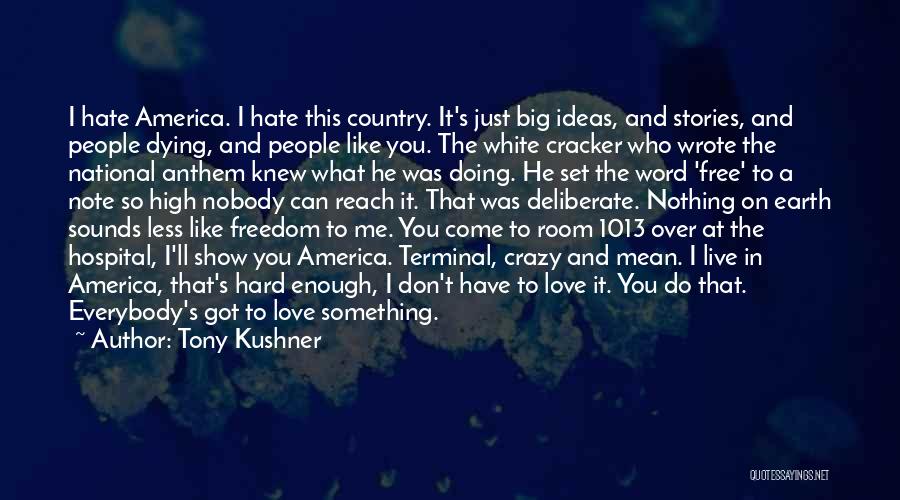 Tony Kushner Quotes: I Hate America. I Hate This Country. It's Just Big Ideas, And Stories, And People Dying, And People Like You.