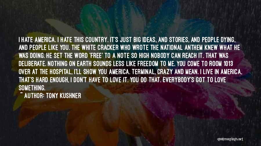 Tony Kushner Quotes: I Hate America. I Hate This Country. It's Just Big Ideas, And Stories, And People Dying, And People Like You.