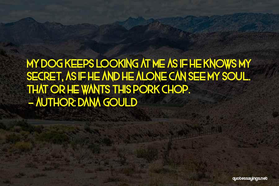 Dana Gould Quotes: My Dog Keeps Looking At Me As If He Knows My Secret, As If He And He Alone Can See