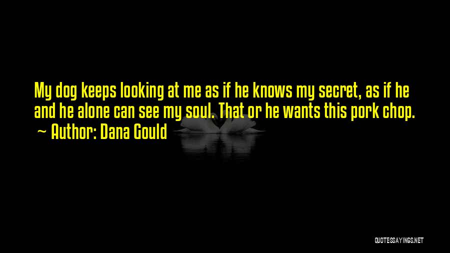 Dana Gould Quotes: My Dog Keeps Looking At Me As If He Knows My Secret, As If He And He Alone Can See