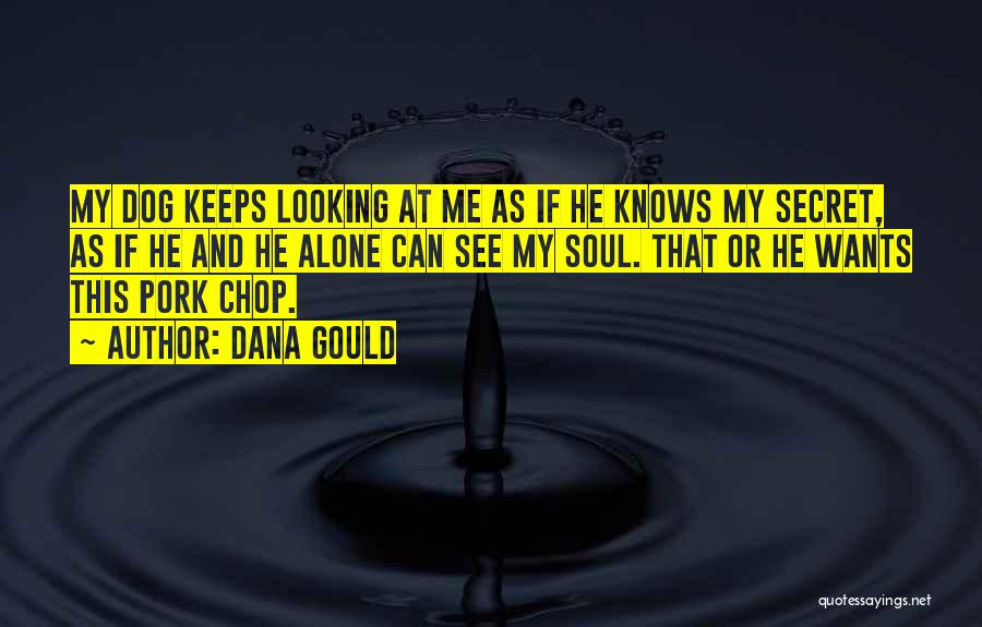 Dana Gould Quotes: My Dog Keeps Looking At Me As If He Knows My Secret, As If He And He Alone Can See