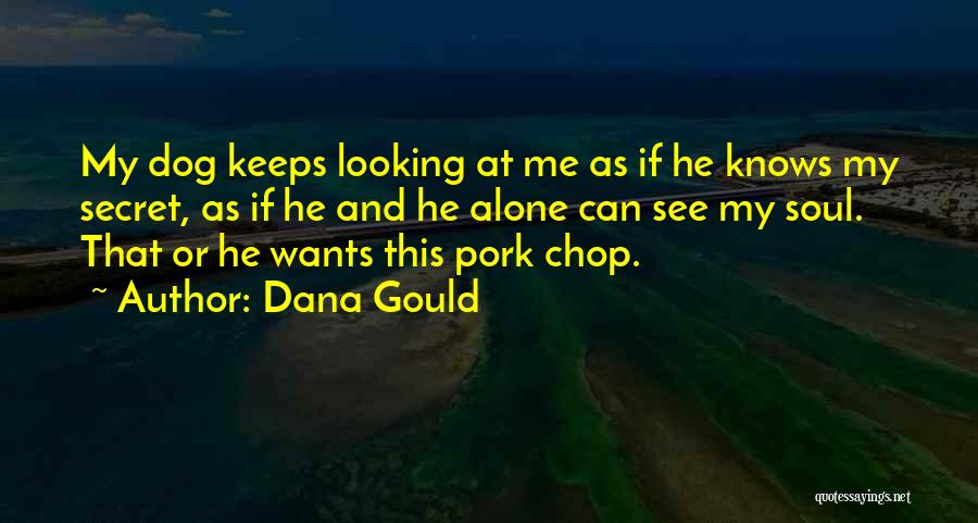 Dana Gould Quotes: My Dog Keeps Looking At Me As If He Knows My Secret, As If He And He Alone Can See