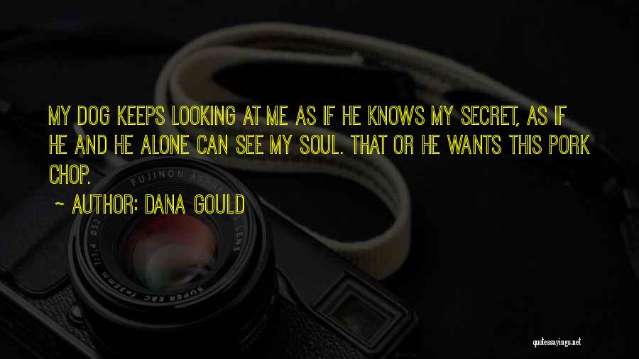 Dana Gould Quotes: My Dog Keeps Looking At Me As If He Knows My Secret, As If He And He Alone Can See