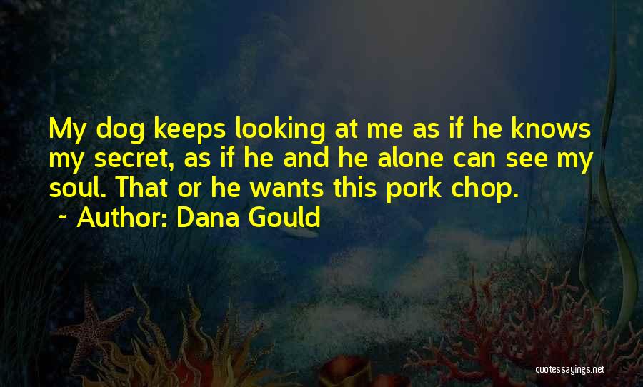 Dana Gould Quotes: My Dog Keeps Looking At Me As If He Knows My Secret, As If He And He Alone Can See