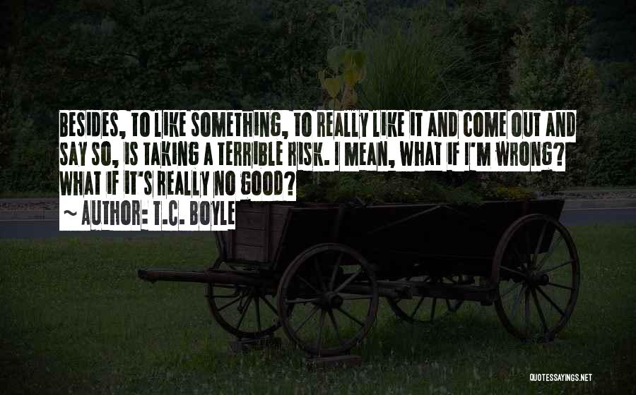 T.C. Boyle Quotes: Besides, To Like Something, To Really Like It And Come Out And Say So, Is Taking A Terrible Risk. I