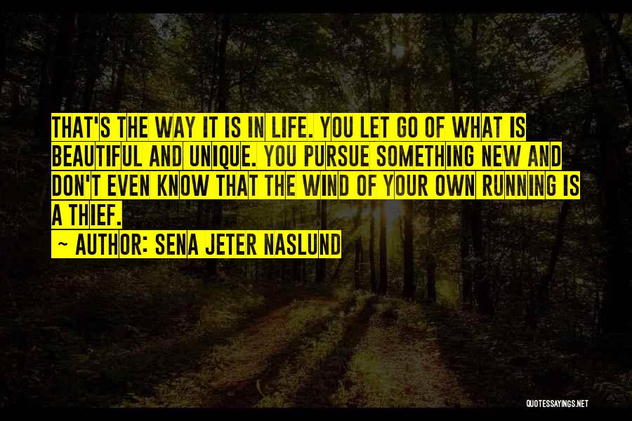 Sena Jeter Naslund Quotes: That's The Way It Is In Life. You Let Go Of What Is Beautiful And Unique. You Pursue Something New