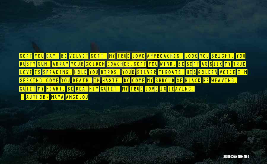 Maya Angelou Quotes: Soft You Day, Be Velvet Soft, My True Love Approaches, Look You Bright, You Dusty Sun, Array Your Golden Coaches.soft