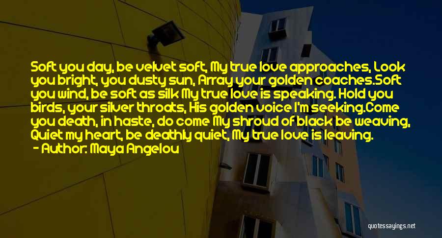 Maya Angelou Quotes: Soft You Day, Be Velvet Soft, My True Love Approaches, Look You Bright, You Dusty Sun, Array Your Golden Coaches.soft