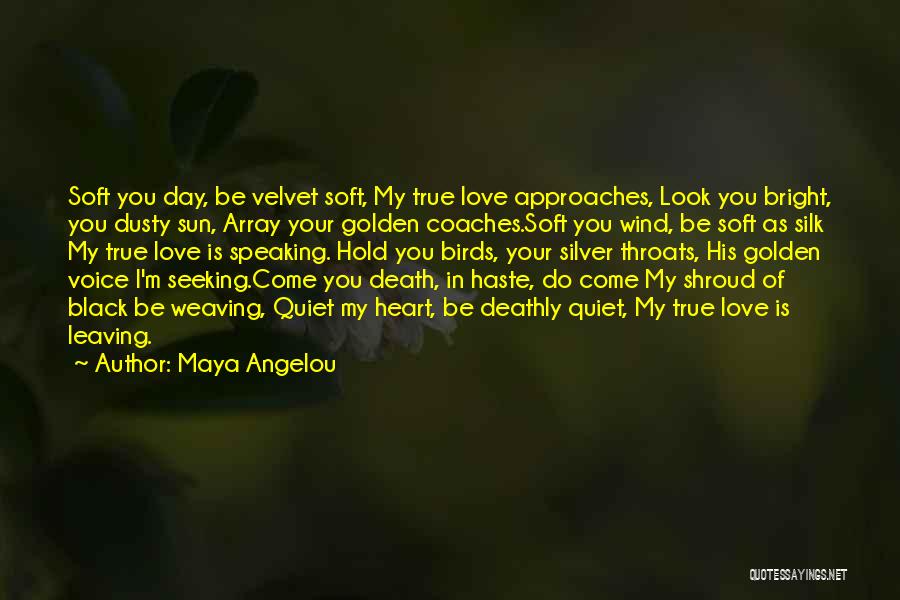 Maya Angelou Quotes: Soft You Day, Be Velvet Soft, My True Love Approaches, Look You Bright, You Dusty Sun, Array Your Golden Coaches.soft