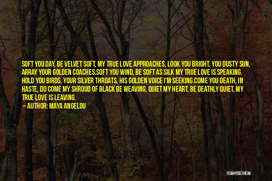 Maya Angelou Quotes: Soft You Day, Be Velvet Soft, My True Love Approaches, Look You Bright, You Dusty Sun, Array Your Golden Coaches.soft