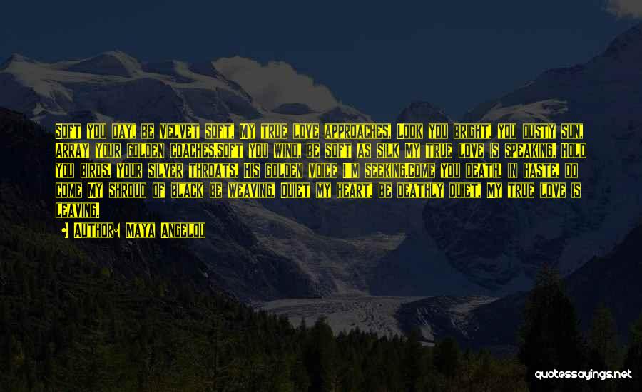 Maya Angelou Quotes: Soft You Day, Be Velvet Soft, My True Love Approaches, Look You Bright, You Dusty Sun, Array Your Golden Coaches.soft