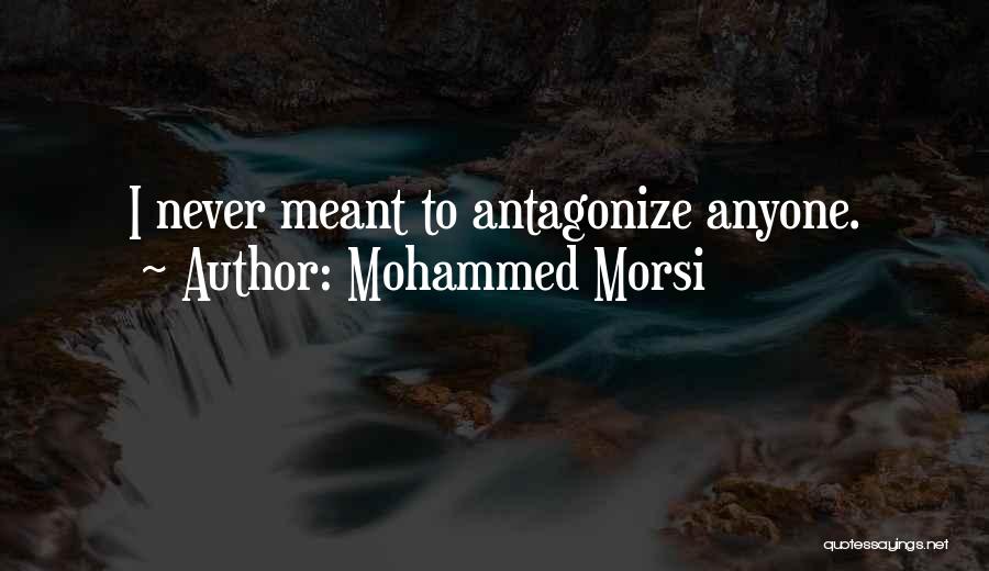 Mohammed Morsi Quotes: I Never Meant To Antagonize Anyone.