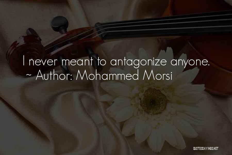 Mohammed Morsi Quotes: I Never Meant To Antagonize Anyone.