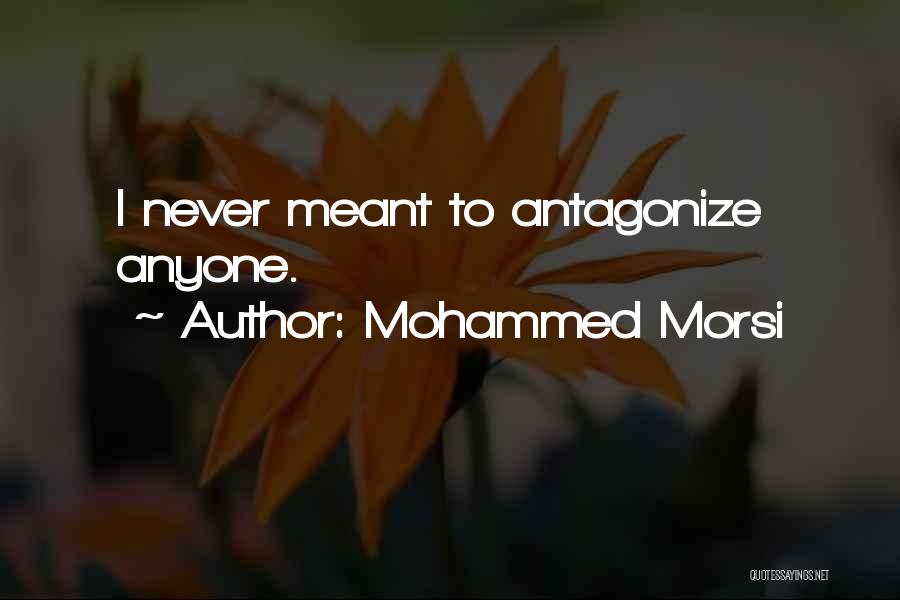 Mohammed Morsi Quotes: I Never Meant To Antagonize Anyone.