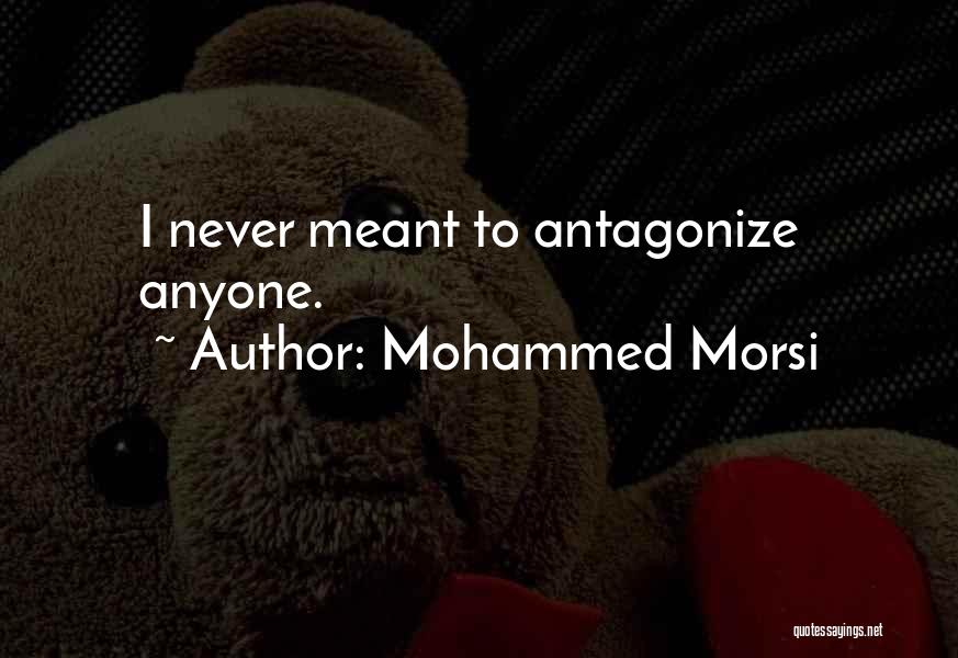 Mohammed Morsi Quotes: I Never Meant To Antagonize Anyone.