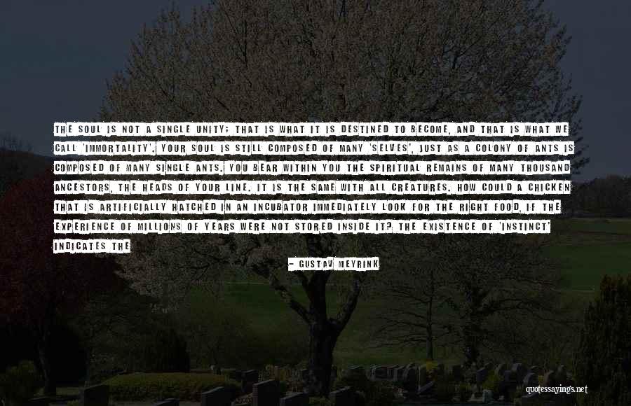 380sl Engine Quotes By Gustav Meyrink 380sl Engine Quotes By Gustav Meyrink