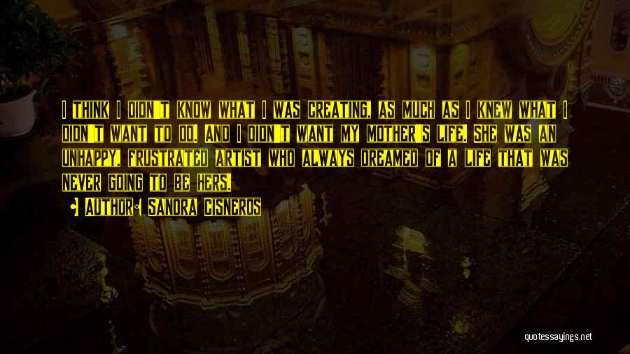 Sandra Cisneros Quotes: I Think I Didn't Know What I Was Creating, As Much As I Knew What I Didn't Want To Do.