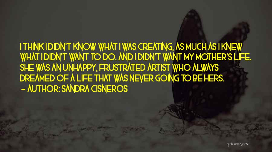 Sandra Cisneros Quotes: I Think I Didn't Know What I Was Creating, As Much As I Knew What I Didn't Want To Do.