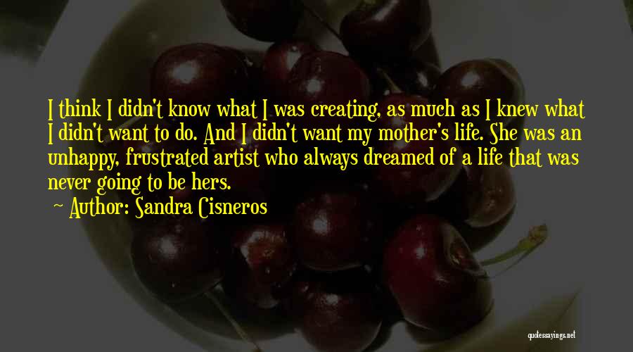 Sandra Cisneros Quotes: I Think I Didn't Know What I Was Creating, As Much As I Knew What I Didn't Want To Do.