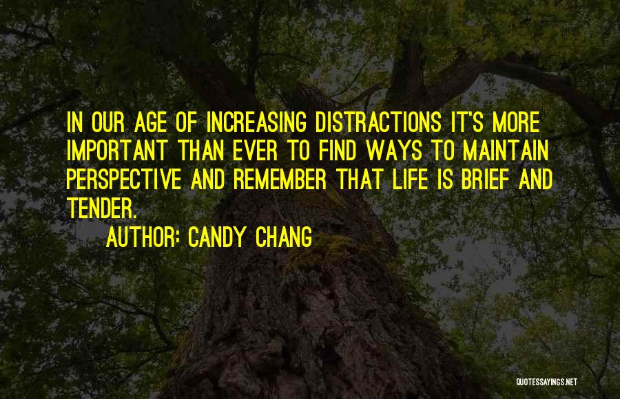 Candy Chang Quotes: In Our Age Of Increasing Distractions It's More Important Than Ever To Find Ways To Maintain Perspective And Remember That