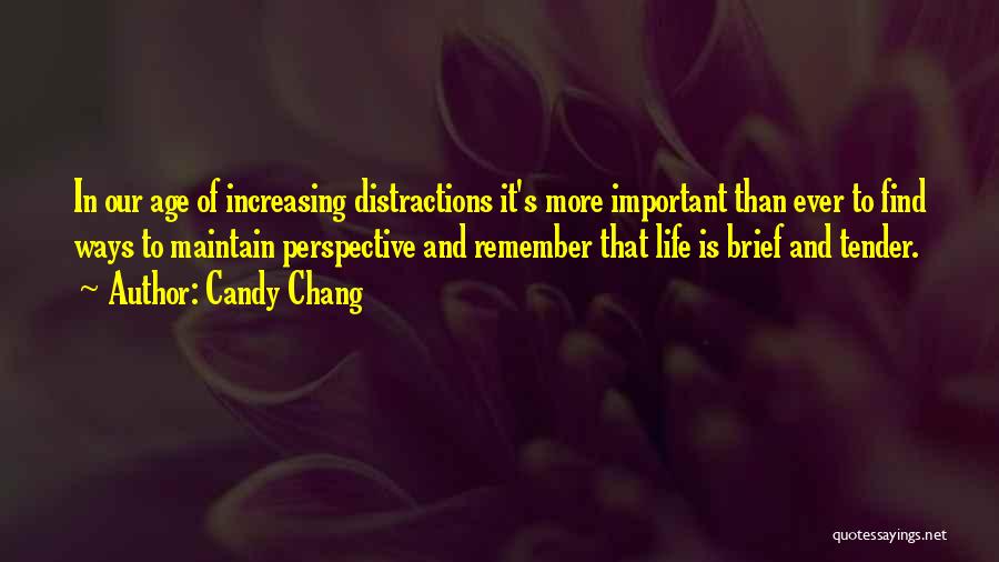 Candy Chang Quotes: In Our Age Of Increasing Distractions It's More Important Than Ever To Find Ways To Maintain Perspective And Remember That