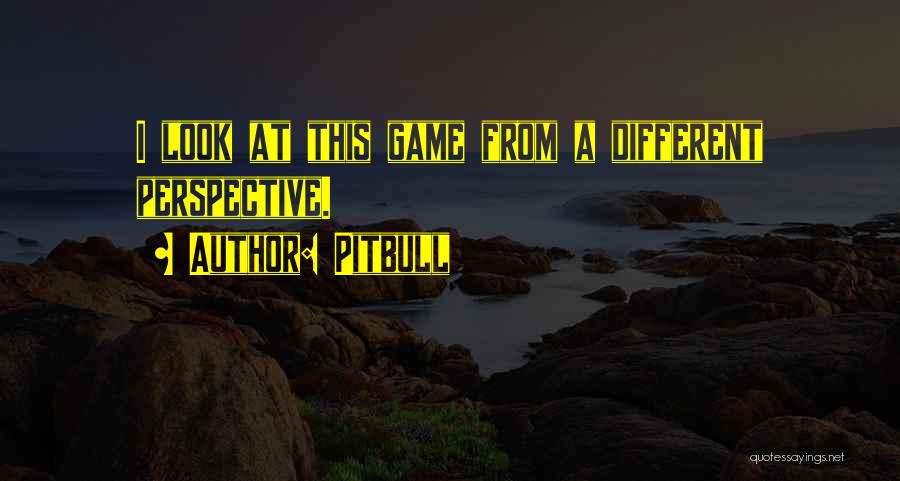 Pitbull Quotes: I Look At This Game From A Different Perspective.