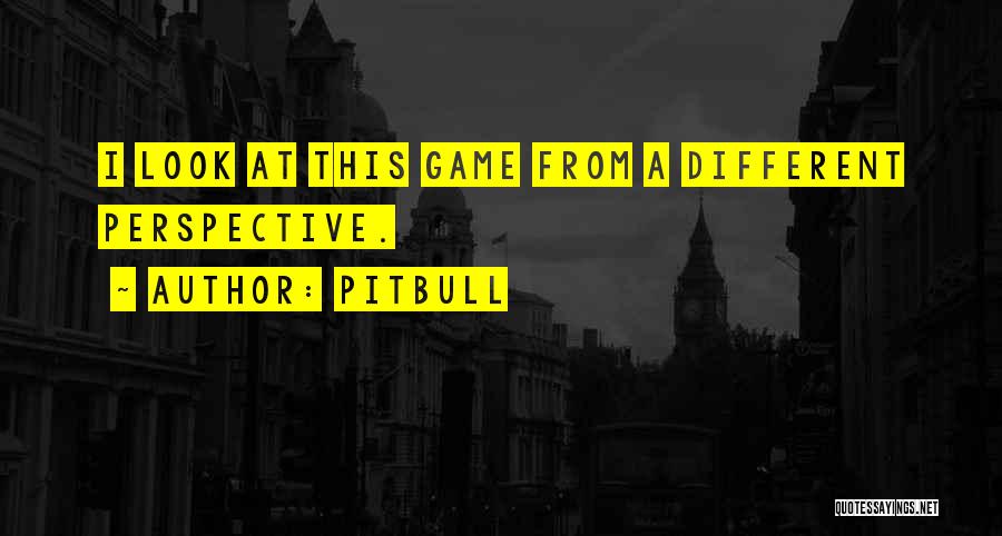 Pitbull Quotes: I Look At This Game From A Different Perspective.