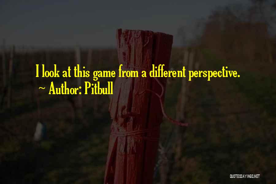 Pitbull Quotes: I Look At This Game From A Different Perspective.