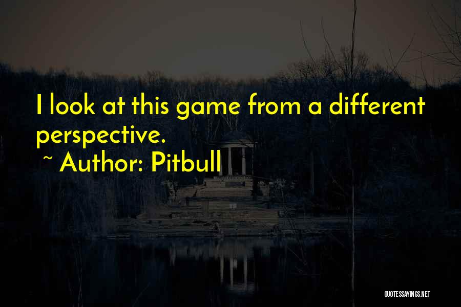 Pitbull Quotes: I Look At This Game From A Different Perspective.